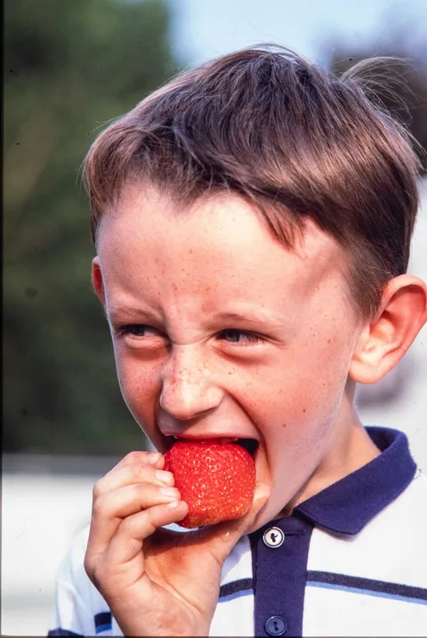 Restored slide of a young boy biting into a strawberry